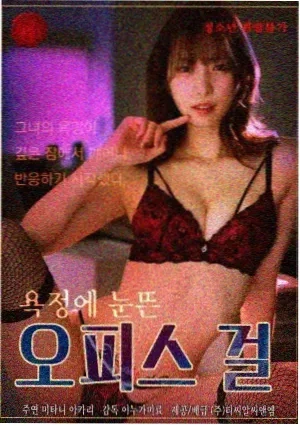 灿烂的她 电视剧 2024